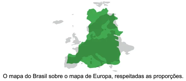 Onde se passa a história?